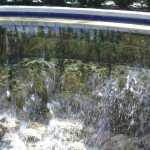 дендропарк пруд, дендропарк водопад, магнолия сад, дендропарк фото