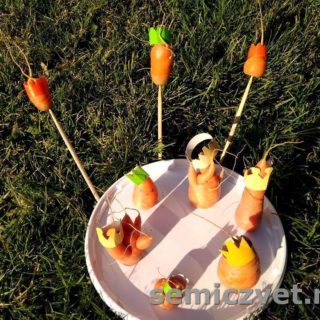 Урожай моркови. Необычные корнеплоды моркови