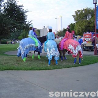 Звёздный парад. Ярмарка штата Техас. Фэйр Парк, Даллас
